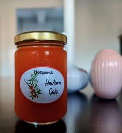 Havtorn